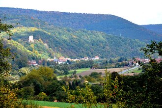 Romantisches Wildbachtal | © Stadt Freudenberg