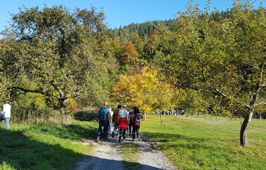 Romantisches Wildbachtal | © Stadt Freudenberg
