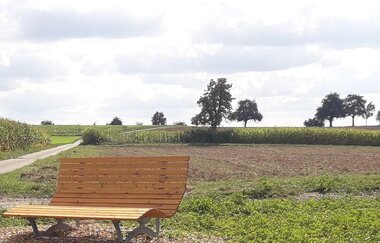 Blick auf ein Waldsofa am Feldrand | © Stadt Sinsheim