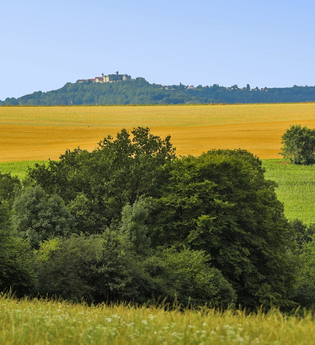 Rund um Belzhag | © Touristikgemeinschaft Hohenlohe e.V. | Andi Schmid