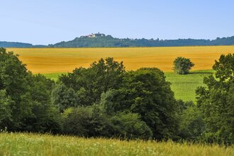 Rund um Belzhag | © Touristikgemeinschaft Hohenlohe e.V. | Andi Schmid