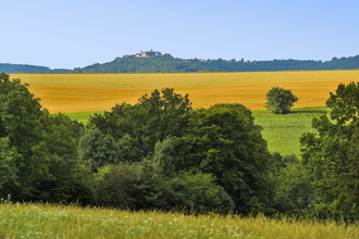 Rund um Belzhag | © Touristikgemeinschaft Hohenlohe e.V. | Andi Schmid