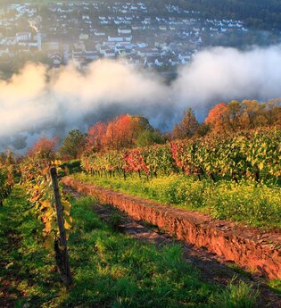 Rund um den Kaffelstein | © TOURISMUS REGION WERTHEIM GmbH