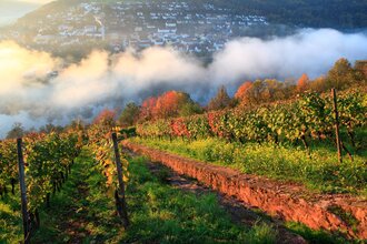 Rund um den Kaffelstein | © TOURISMUS REGION WERTHEIM GmbH