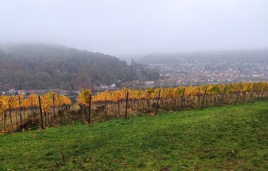 Rund um den Kaffelstein | © TOURISMUS REGION WERTHEIM GmbH