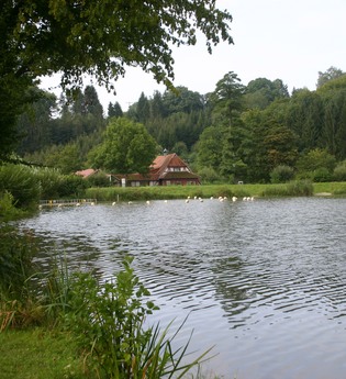Der See ist von einer Wiese und Bäumen umgeben | © Touristikgemeinschaft Hohenlohe e. V. | Susanne Schleussner