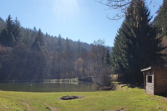 Rund um den Schönertsee | © TOURISMUS REGION WERTHEIM GmbH