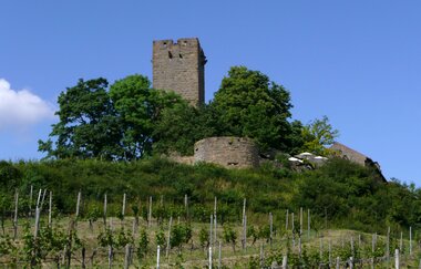 Rund um die Ravensburg | © Wandermagazin