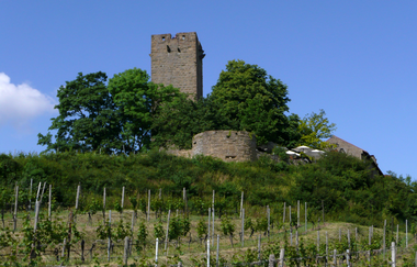 Rund um die Ravensburg | © Wandermagazin