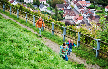 Familie wandert oberhalb von Ingelfingen | © Touristikgemeinschaft Hohenlohe e. V. | Florian Trykowski