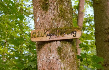 Rund ums Käppele | Neudenau | HeilbronnerLand | © Stadtverwaltung Neudenau