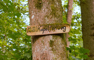 Rund ums Käppele | Neudenau | HeilbronnerLand | © Stadtverwaltung Neudenau