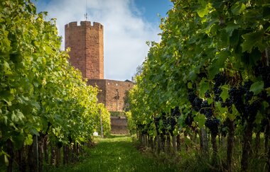 Rundtour Burgenstraße (Kraichgaurunde) | © Landratsamt Rhein-Neckar-Kreis
