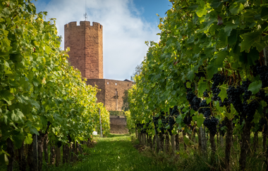 Rundtour Burgenstraße (Kraichgaurunde) | © Landratsamt Rhein-Neckar-Kreis