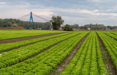 Rundtour der Museen | © Landratsamt Rhein-Neckar-Kreis