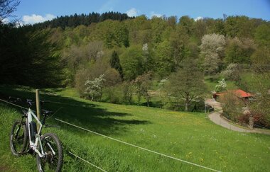 Rundtour Eberbach | © Landratsamt Rhein-Neckar-Kreis
