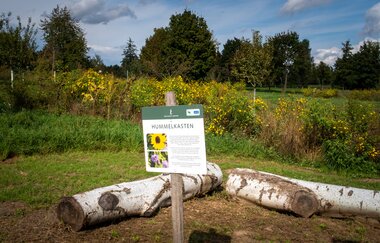 Rundtour Kraichgauer Wein | © Landratsamt Rhein-Neckar-Kreis