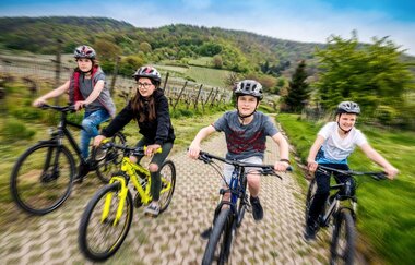 Rundtour Ladenburg | © Landratsamt Rhein-Neckar-Kreis