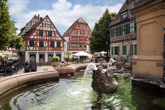 Rundtour Mannheim - Ladenburg - Weinheim | © Quelle: Landratsamt Rhein-Neckar-Kreis