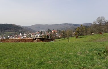 Rundtour Neckargemünd - Kleiner Odenwald | © Landratsamt Rhein-Neckar-Kreis