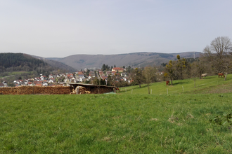 Rundtour Neckargemünd - Kleiner Odenwald | © Landratsamt Rhein-Neckar-Kreis