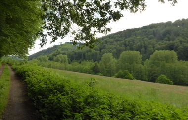 Rundtour Neckargemünd - Kleiner Odenwald | © Landratsamt Rhein-Neckar-Kreis