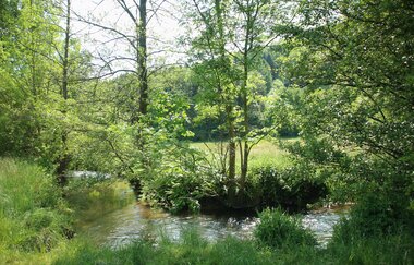Rundtour Neckargemünd - Odenwald | © Landratsamt Rhein-Neckar-Kreis