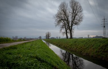 Rundtour Rheinebene - Bergstrasse - Neckartal | © Landratsamt Rhein-Neckar-Kreis