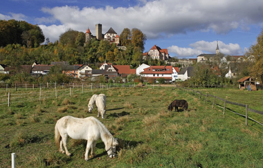 Rundtour Waibstadt | © Landratsamt Rhein-Neckar-Kreis
