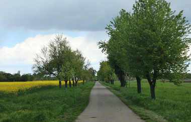 Rundtour Walldorf | © Landratsamt Rhein-Neckar-Kreis