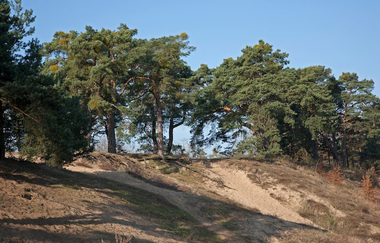 Rundtour Walldorf | © Landratsamt Rhein-Neckar-Kreis