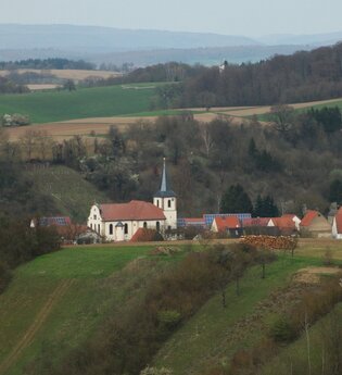 Rundtour Wiesloch | © Landratsamt Rhein-Neckar-Kreis