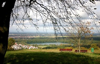 Rundwanderung entlang von Streuobstwiesen und Reben auf den Michaelsberg | © Land der 1000 Hügel - Kraichgau-Stromberg