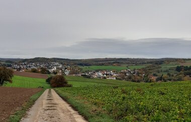 Rundwanderung Neckarbischofsheim NB1 - auf den Spuren der Herren von Helmstatt und Hermann Weil | © Landratsamt Rhein-Neckar-Kreis