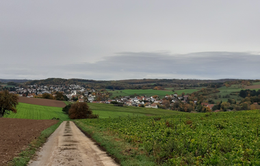 Rundwanderung Neckarbischofsheim NB1 - auf den Spuren der Herren von Helmstatt und Hermann Weil | © Landratsamt Rhein-Neckar-Kreis