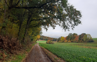 Rundwanderung Neckarbischofsheim NB1 - auf den Spuren der Herren von Helmstatt und Hermann Weil | © Landratsamt Rhein-Neckar-Kreis