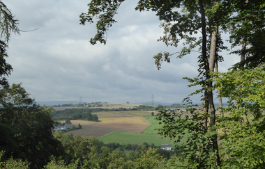 Rundwanderung Neckarbischofsheim NB1 - auf den Spuren der Herren von Helmstatt und Hermann Weil | © Landratsamt Rhein-Neckar-Kreis