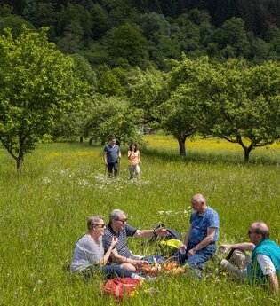 Rundwanderung Waldenhausen | © TOURISMUS REGION WERTHEIM GmbH