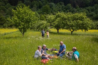 Rundwanderung Waldenhausen | © TOURISMUS REGION WERTHEIM GmbH