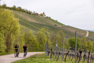 Rundwanderweg 1 - Der "Kleine Rundweg" auf dem Michaelsberg in Bruchsal-Untergrombach