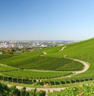 Rundwanderweg 1 am Wartberg