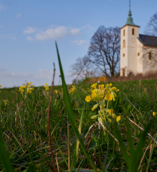 Rundwanderweg 2 - Der "Kappelbergweg" auf dem Michaelsberg in Bruchsal-Untergrombach