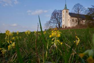Rundwanderweg 2 - Der "Kappelbergweg" auf dem Michaelsberg in Bruchsal-Untergrombach