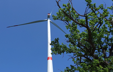 Rotorblätter eines Windrades vor blauem Himmel, am rechten Bildrand dunkle Äste mit grünen Blättern | © stadt Gaildorf