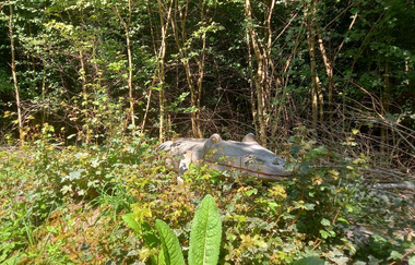 Hölzerner Urlurch versteckt zwischen Büschen