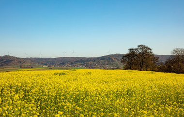 Rundwanderweg 2 - Geopfad und Windräder des Naturstrompeichers