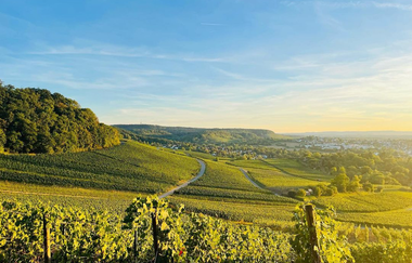 Rundwanderweg 2 am Galgenberg - Jägerhaus