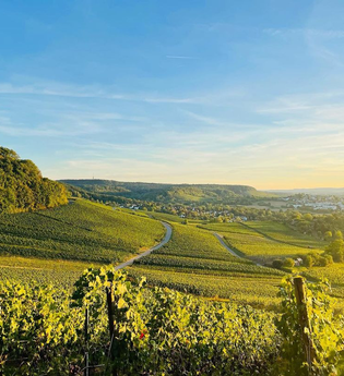 Rundwanderweg 2 am Galgenberg - Jägerhaus