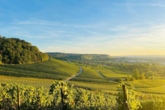 Rundwanderweg 2 am Galgenberg - Jägerhaus