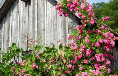 Rundwanderweg 2 am Galgenberg - Jägerhaus